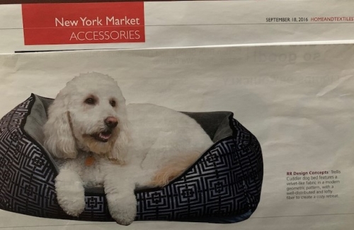 Dog Bed Article
