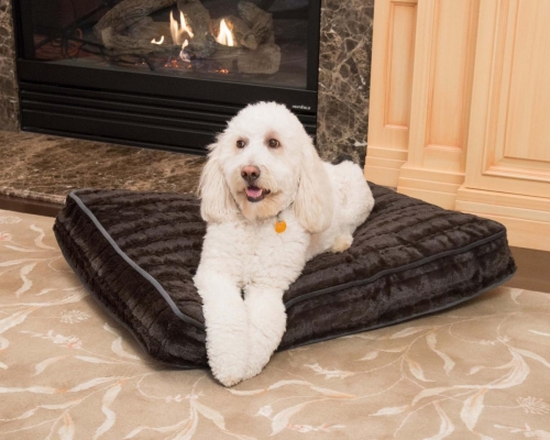 Dog Beds                      		Pet Maison